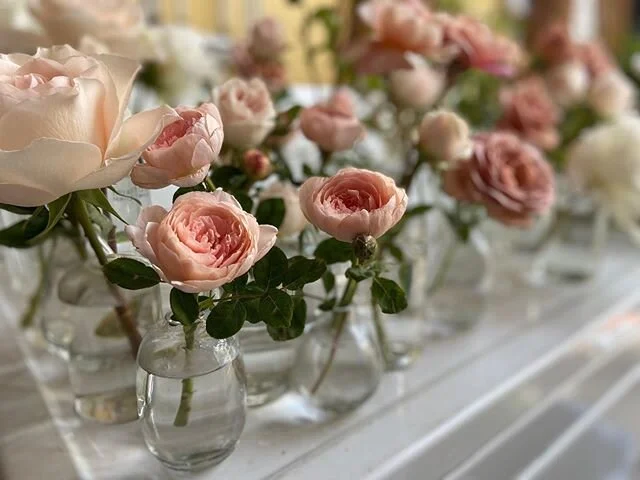 Blush garden-rose bud vases along a reception table